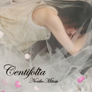 Centifolia ～Noriko Mitose Art Works Best～