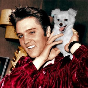 Avatar de Elvis Presley