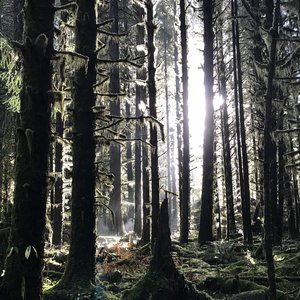 Solmedithyr 的头像