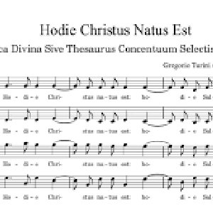 Gregorio Turini 的头像