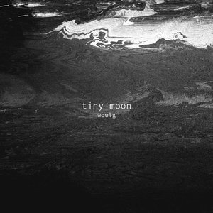 Tiny Moon