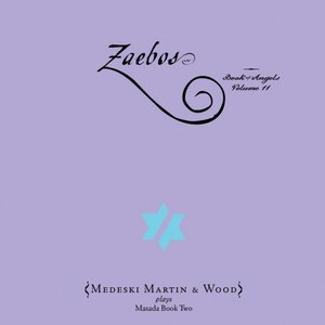 Zaebos: Book Of Angels Vol.11