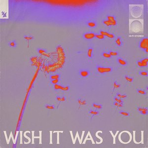 Wish it was you