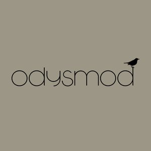 Image for 'odysmod'