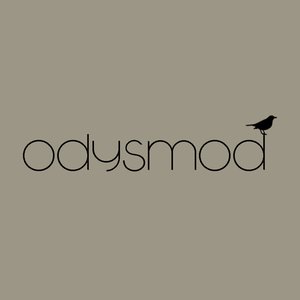 odysmod 的头像