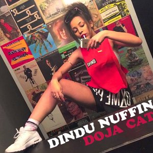 Image for 'DINDU NUFFIN'