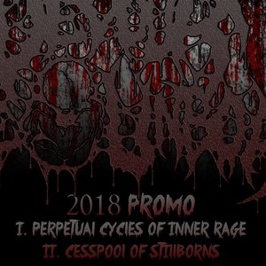 2018 PROMO