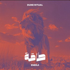 Enerji