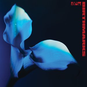 Birthmarks [Explicit]