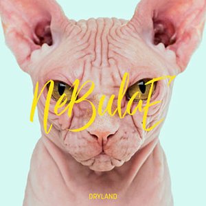 Dryland - Single