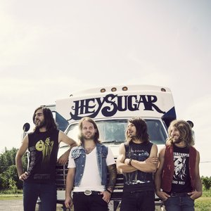 Image for 'Hey Sugar'