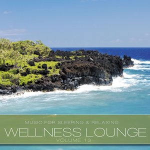 Wellness Lounge, Vol. 13