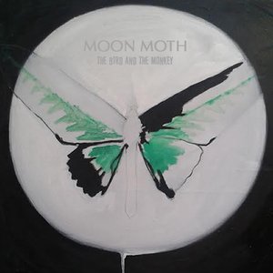 Moon Moth