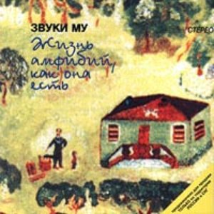 Жизнь Амфибий, Как Она Есть