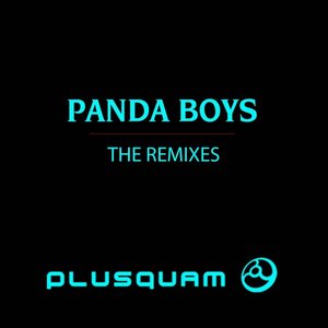 The Remixes