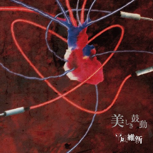 美しき鼓動 cover