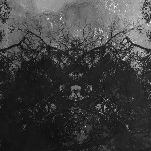 Cleansing Silence