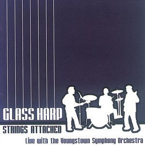 Glass Harp Strings Attached Live with the Youngstown Symphony Orchestra
