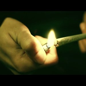 Kajman ft. Buszu, Dejan, Borixon, Sitek 的头像