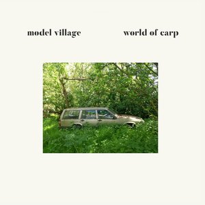 World Of Carp