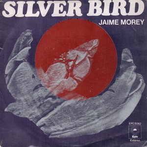 Silver Bird