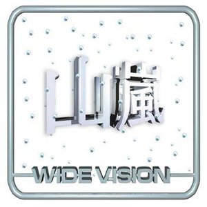 Wide Vision