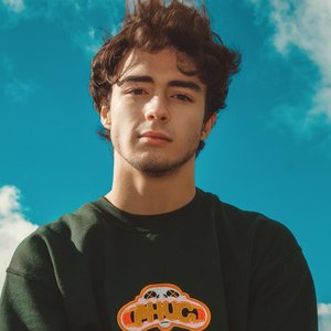 Alfie Templeman 的头像