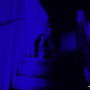 Alive [Clean] [Clean]