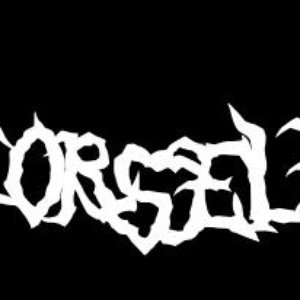 Remorseless 的头像