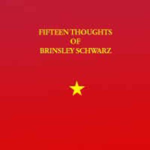 15 Thoughts of Brinsley Schwarz