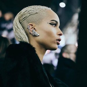 Изображение для 'Zoe Kravitz'