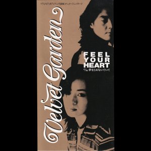 Feel Your Heart