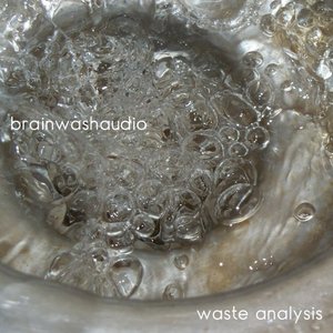 Waste Analysis