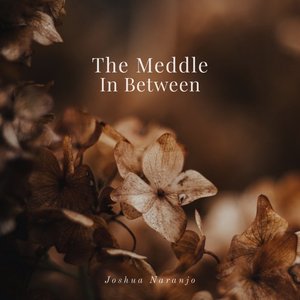 The Meddle in Between