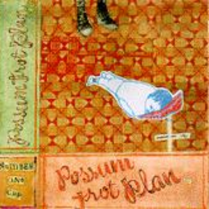 Possum Trot Plan cover