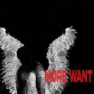 More Want - Single