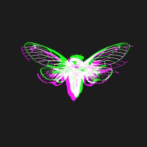 Cicada 3301 的头像
