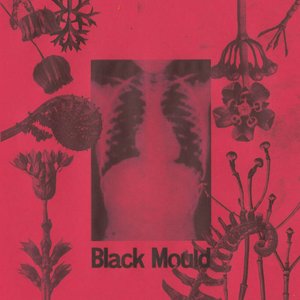 Black Mould