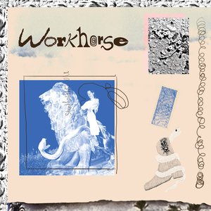 No Photographs - Single