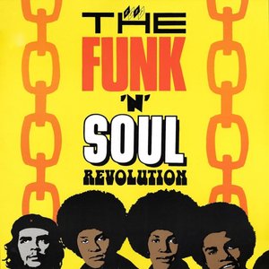 The Funk 'n' Soul Revolution