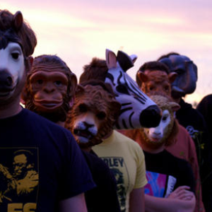 The Sound of Animals Fighting photo provided by Last.fm