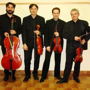 Аватар для Quartetto Tamborini