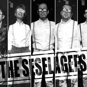THE SESELAGEES 的头像