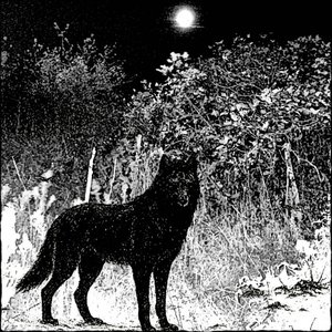 Full moon over the frozen forest