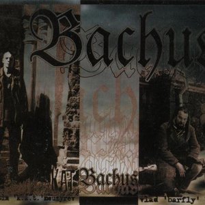Bachus 的头像