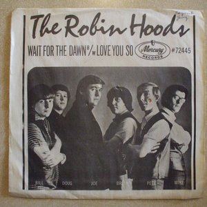 The Robin Hoods 的头像