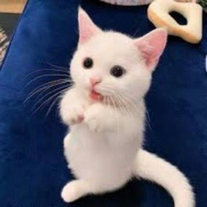 ...