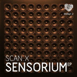 Sensorium