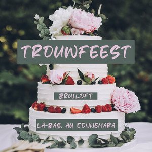 Trouwfeest  Bruiloft  Là-bas, au Connemara