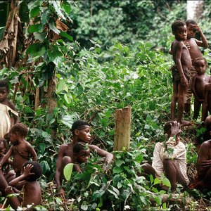 Baka Forest People 的头像